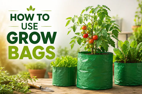 how to use grow bags
