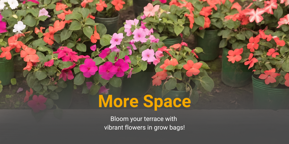 Terrace Flower Garden Using Grow Bags