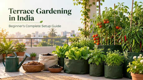 Beginner terrace garden setup in India with grow bags and vegetable plants