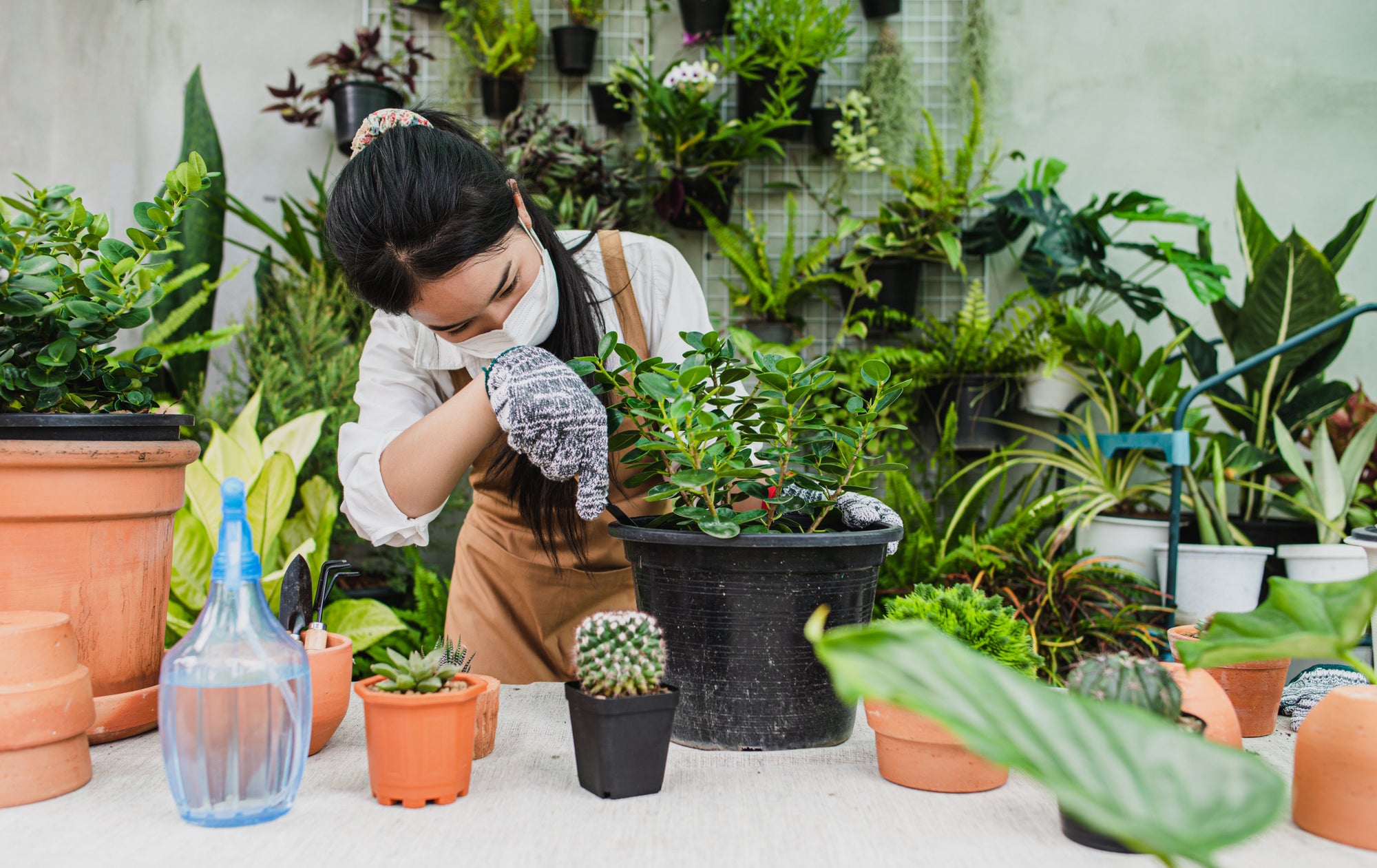10 Amazing  Benefits of Home Garden in 2026