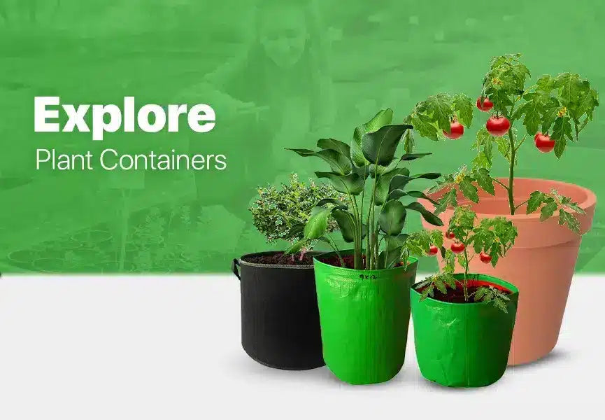 Plant Growing Container used for Home Gardening