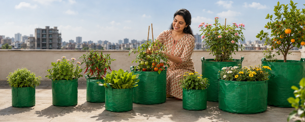 Types of Grow Bags: Choosing the Right Grow Bag for Every Plant