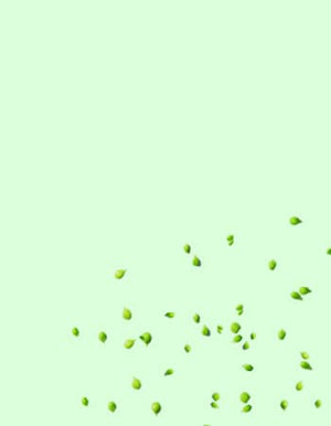 MICROGREEN SEEDS