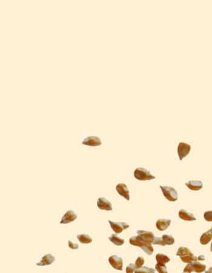 SEEDS