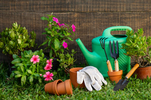 Garden Accessories
