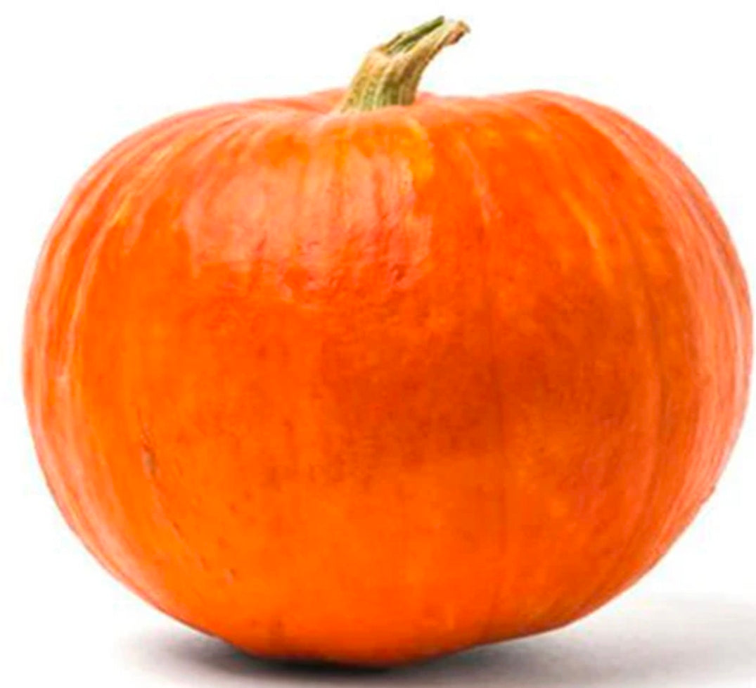 Pumpkin Halloween Seeds