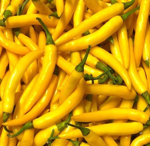 Chilli (Hugerian Yellow) seeds