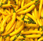 Chilli ( Hungarian Yellow) seeds