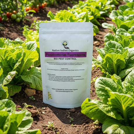 Pseudomonas Bio control agent 1Kg