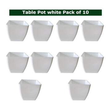 Small Indoor Plant Pots set of 10 — Sturdy, Breathable | Native Indian Organics