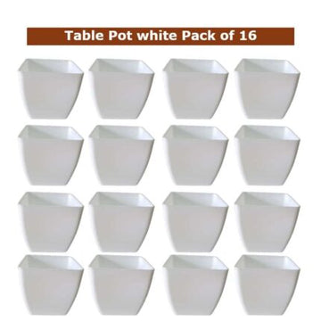 Small Plant pots (set of 16) Table top pots — Reliable, Durable | Native Indian Organics