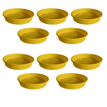 Bottom Tray 6 inch Yellow set of 10 — Reusable, Sturdy | Native Indian Organics