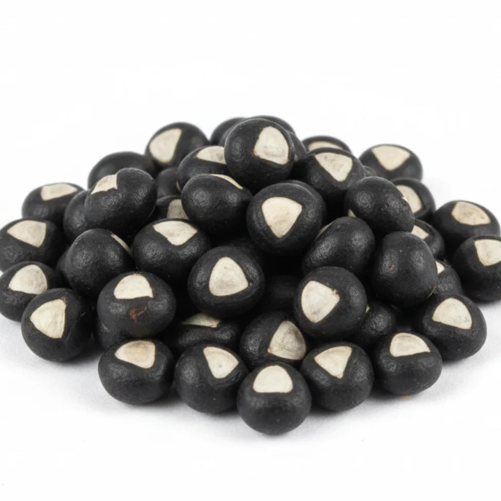 Balloon vine seeds — Fresh and Non GMO seeds| Native Indian Organics 