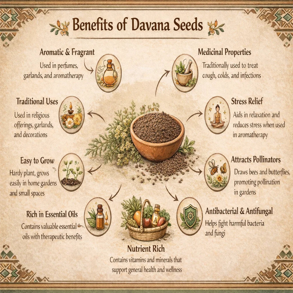marikolunthu plant seeds Buy Davana Marikolundu seeds online