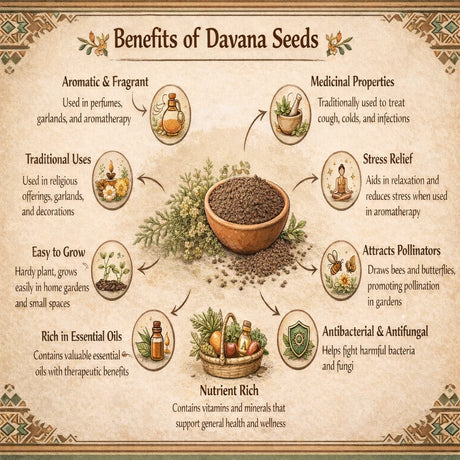 Infographic detailing the benefits of Davana seeds