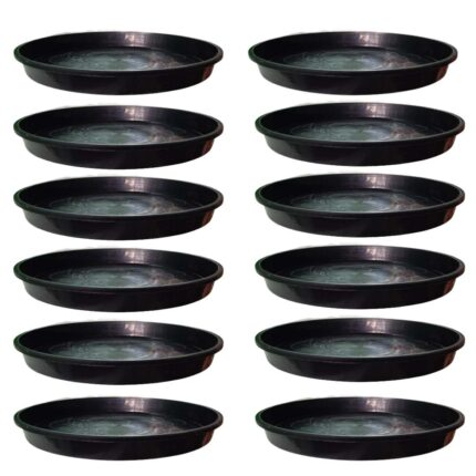 Plant Trays (Pot Bottom Plate) for 12" Pot set of 12 — Reusable, Sturdy | Native Indian Organics
