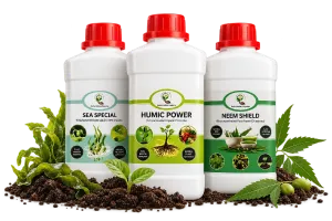 Organic Fertilizers