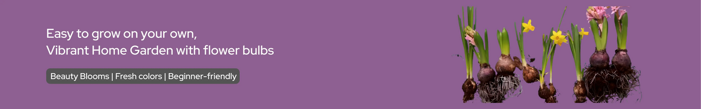 home garden flower bulb