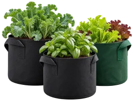 Grow Bags