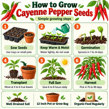 How to Grow Cayenne Pepper Seeds 