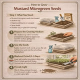 Step-by-step guide on how to grow mustard microgreen seeds with illustrations and text.