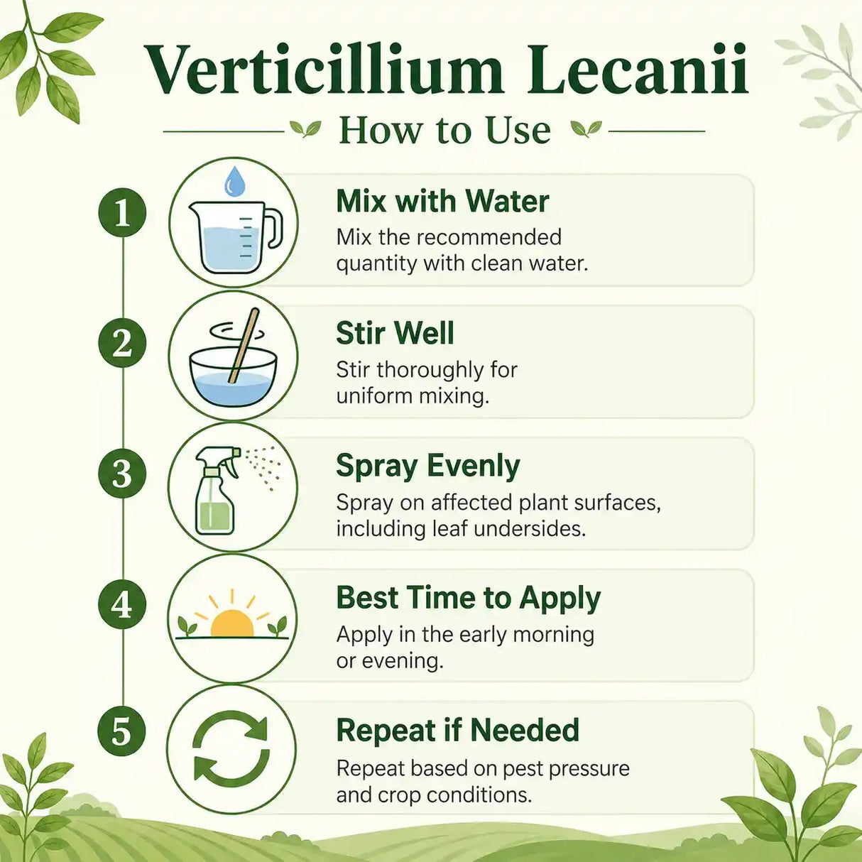 How to use verticillium lecanii insecticide inforgraphic