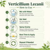 How to use verticillium lecanii insecticide inforgraphic