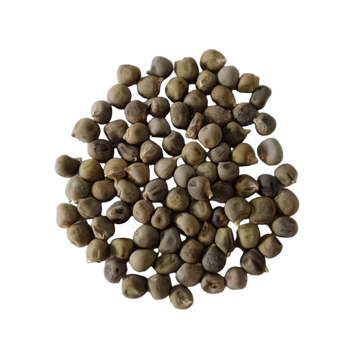 Ladies finger Organic seeds - High quality and High germination Seeds | Native Indian Organics
