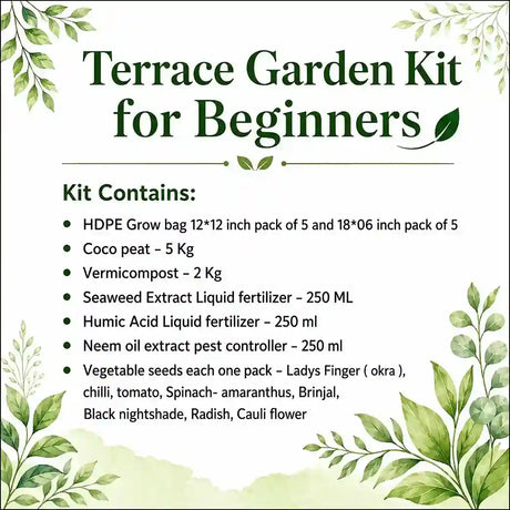 Terrace garden kit for Beginners