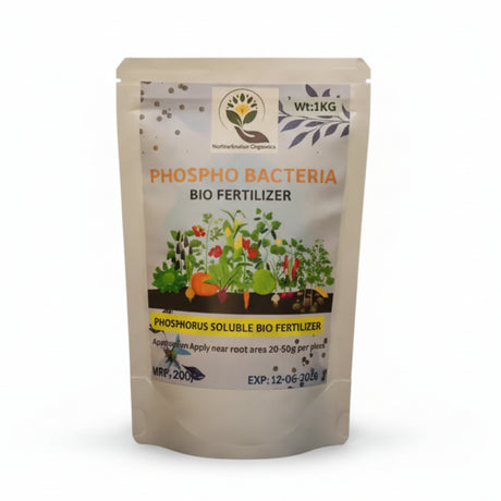 Phospho bacteria bio fertilizer  — Eco Friendly Bio Fertilizer for Plant Growth and Soil Health - Native Indian Organics.