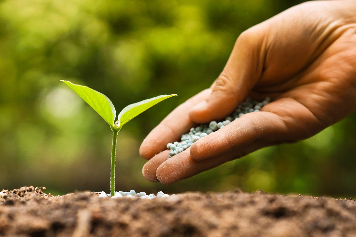 Bio Fertilizer Online In India Buy 100 Organic Liquid Bio Bio fertilizer online in india buy 100 organic liquid bio