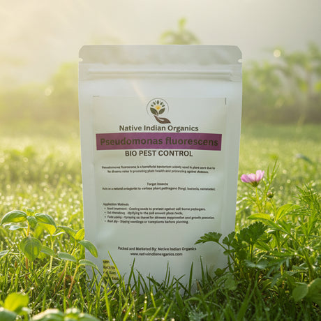 Pseudomonas Bio control agent 1Kg — Organic, High germination seed pack | Native Indian Organics