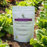 Pseudomonas Bio control agent 1Kg — Organic, High germination seed pack | Native Indian Organics
