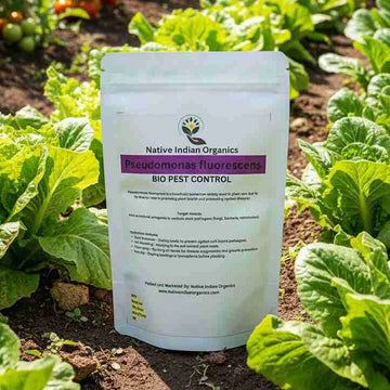 Pseudomonas Bio control agent 1Kg — Organic, High germination seed pack | Native Indian Organics