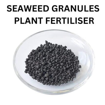 Seaweed Granules Fertilizer 450G — Fast-growing, Heirloom seed pack | Native Indian Organics