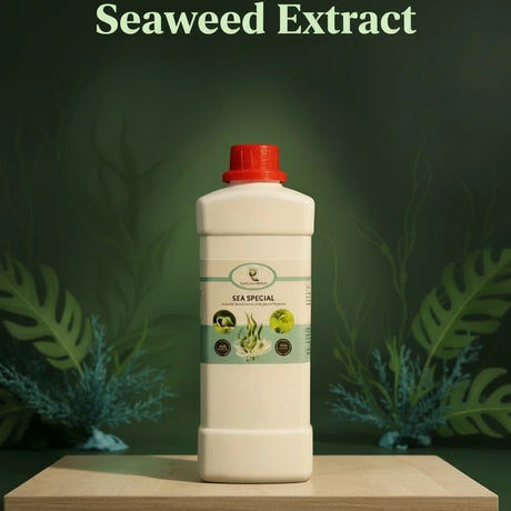 Sea special Seaweed Extract Fertilizer — Safe and Natural | Native Indian Organics