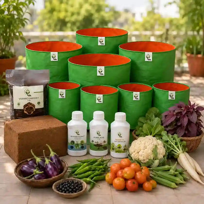 Start Your Terrace Garden Today