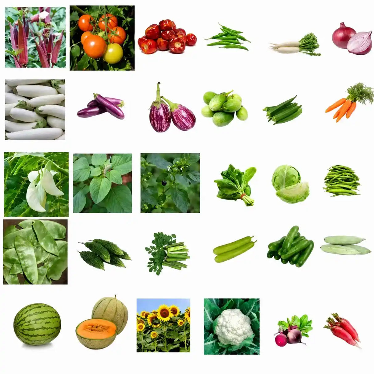 Vegetable seeds Combo Pack of 30