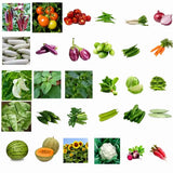 Vegetable seeds Combo Pack of 30