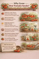 Desi Tomato seeds