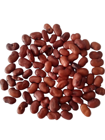 Sesbania Grandiflora Red seeds — Nutrient-dense, Organic seed pack | Native Indian Organics