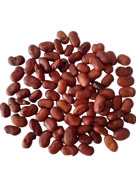 Sesbania Grandiflora Red seeds — Nutrient-dense, Organic seed pack | Native Indian Organics