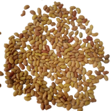 Alfalfa fodder seeds 1KG — Organic and Fresh Seeds for animals | Native Indian Organics