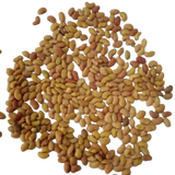 Alfalfa fodder seeds 250 G seed pack | Healty Seeds for Livestock animals | Native Indian Organics |