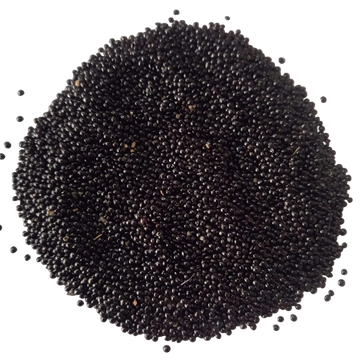 Tropical Amaranth Seeds — Tender and Organic seed pack | Native Indian Organics