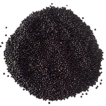 Amaranthus Seeds Green — Organic , High Germination Seeds | Native Indian Organics