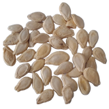Ash Gourd Seeds — Fast-growing, Organic seeds pack | Native Indian Organics | Pumpkin seeds 