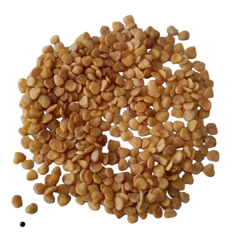 Ashwagantha Herbal Plant Seeds - Healthy and organic seeds | Native Indian Organics