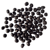 Asparagus seeds — Fresh and High germination seed pack | Native Indian Organics