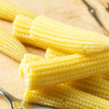Baby Corn Seeds — High germination, Sweet seed pack | Native Indian Organics